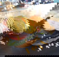 Gisborne Bakery  Cafe - Accommodation BNB