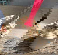 Coffetti Gelato - Accommodation BNB