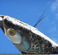 Fish Creek Hotel Motel - Accommodation BNB