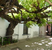 The Vine - Accommodation BNB