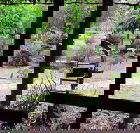 The Wander Inn - Accommodation BNB