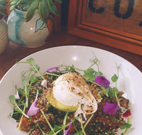 The Shak Organic Cafe  Wine Bar - Accommodation BNB