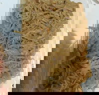 Quick Thai Restaurant - Accommodation BNB