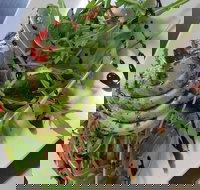 DeliLicious Bundanoon - Accommodation BNB