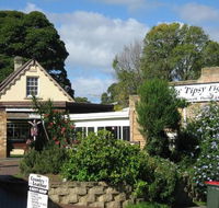 Tipsy Fig - Accommodation BNB