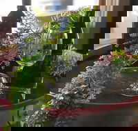 The Red Barrel Wine House - Accommodation BNB