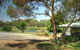 Allambie Orchard Cafe - thumb 0