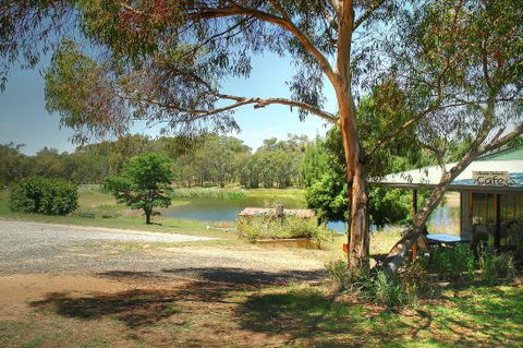 Allambie Orchard Cafe - Accommodation BNB 0