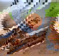 Hello Harry - Accommodation BNB