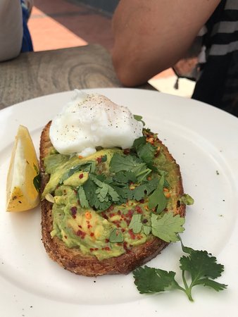 Avoca Beach NSW Accommodation BNB