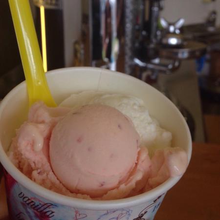 Bermagui Gelati Clinic - Accommodation BNB 0