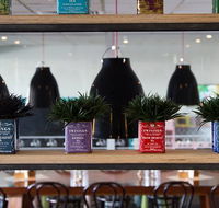 Collegians Balgownie - Accommodation BNB