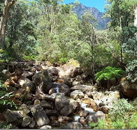 Star Chinese Restaurant - Accommodation BNB