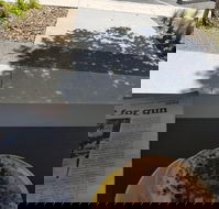 Queen of Tarts Toronto  Cessnock - Accommodation BNB