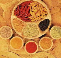 Tehzeeb Indian and Australian Restaurant - Accommodation BNB