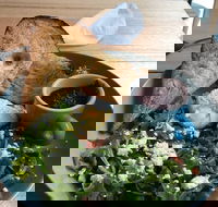 Caffe Cherry Beans Canberra Centre - Accommodation BNB