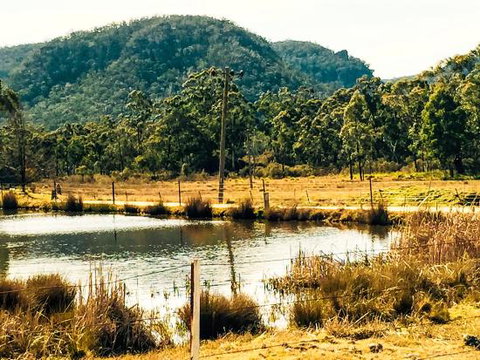 Collits Inn - Accommodation BNB 0