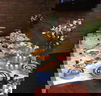 Colony Inn Hotel - Accommodation BNB