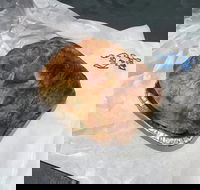 Country Kitchen Gourmet Pies - Accommodation BNB