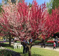 Mirchi Indian Cuisine - Accommodation BNB