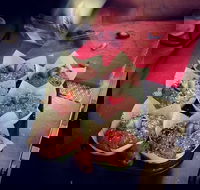 Filosofy - Accommodation BNB