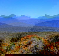 Arcadia Wines - Accommodation BNB