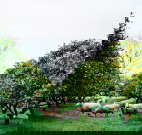 Cambray Cheese Farm Shop - Accommodation BNB