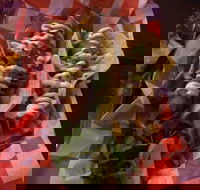 Cantina On Capri - Accommodation BNB