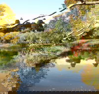 Cradle Coast Olives - Accommodation BNB