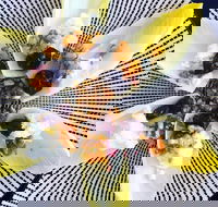 Crust - Conder - Accommodation BNB