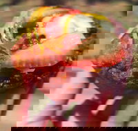 Harvest Foodstore - Accommodation BNB