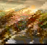 Tarana Indian Restaurant - Accommodation BNB