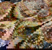 The Re Store Northbridge - Accommodation BNB