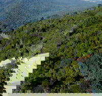 Canopy Cafe - Accommodation BNB