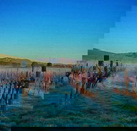 Eastern Peake Winery - Accommodation BNB