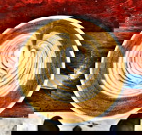 Veneziano Coffee Roasters - Accommodation BNB