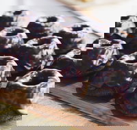 Botanica - Red Hill - Accommodation BNB