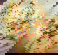 Massive Wieners - Accommodation BNB