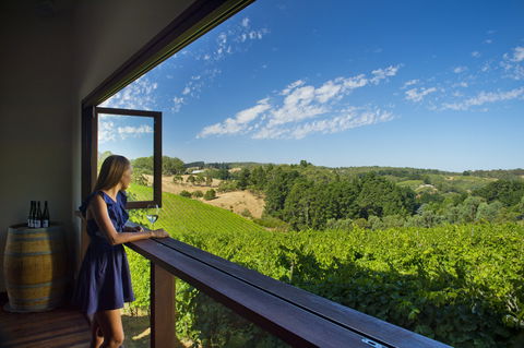 Mt Lofty Ranges Vineyard - Accommodation BNB 0