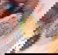 Quiksilver Bar 61 - Accommodation BNB