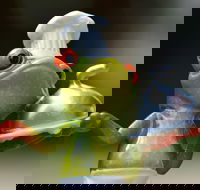 The Lillipad Cafe - Accommodation BNB