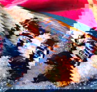 Donut King - Sunbury - Accommodation BNB