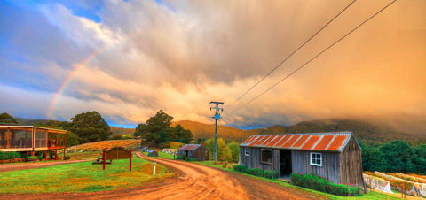Hartzview Vineyard Heritage Pickers Hut Village - Accommodation BNB 0