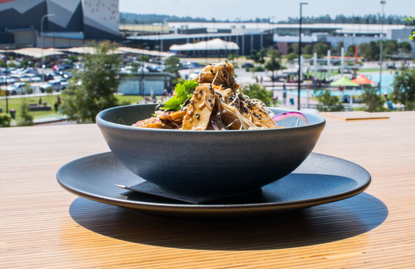 Springfield Central QLD Accommodation BNB