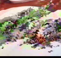 YaYa Bar and Eatery - Accommodation BNB