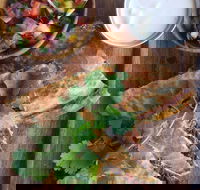 Batch Espresso - Accommodation BNB