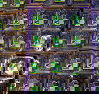 Jolly Berries - Accommodation BNB