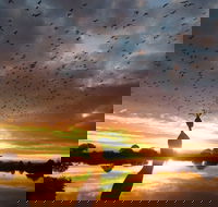 Old Lodge Gallery Emporium and River Cafe - Accommodation BNB