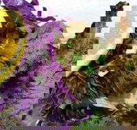 Saigon Southland Hot Bake - Accommodation BNB