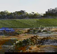 Spence Wines - Accommodation BNB